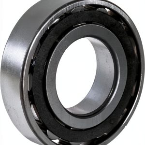 FAG N206E-TVP2 Cylindrical Roller Bearing, Single Row, Straight Bore, Removable Outer Ring, High Capacity, Normal Clearance, Metric, 30mm ID, 62mm OD, 16mm Width-0